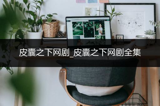 皮囊之下网剧_皮囊之下网剧全集